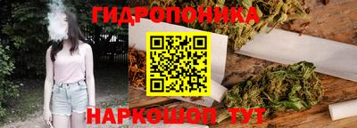 хмурый Дубна