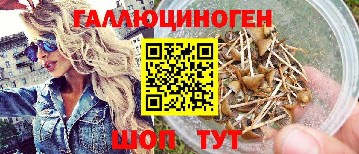 Псилоцибиновые грибы прущие грибы Тара